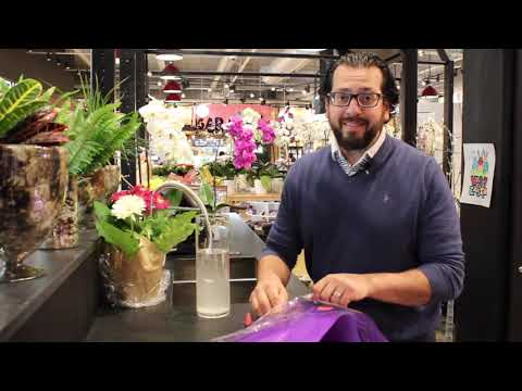 It's Hot! Tricks To Maintain Contemporary Minimize Flowers Lasting Longer In The Heat